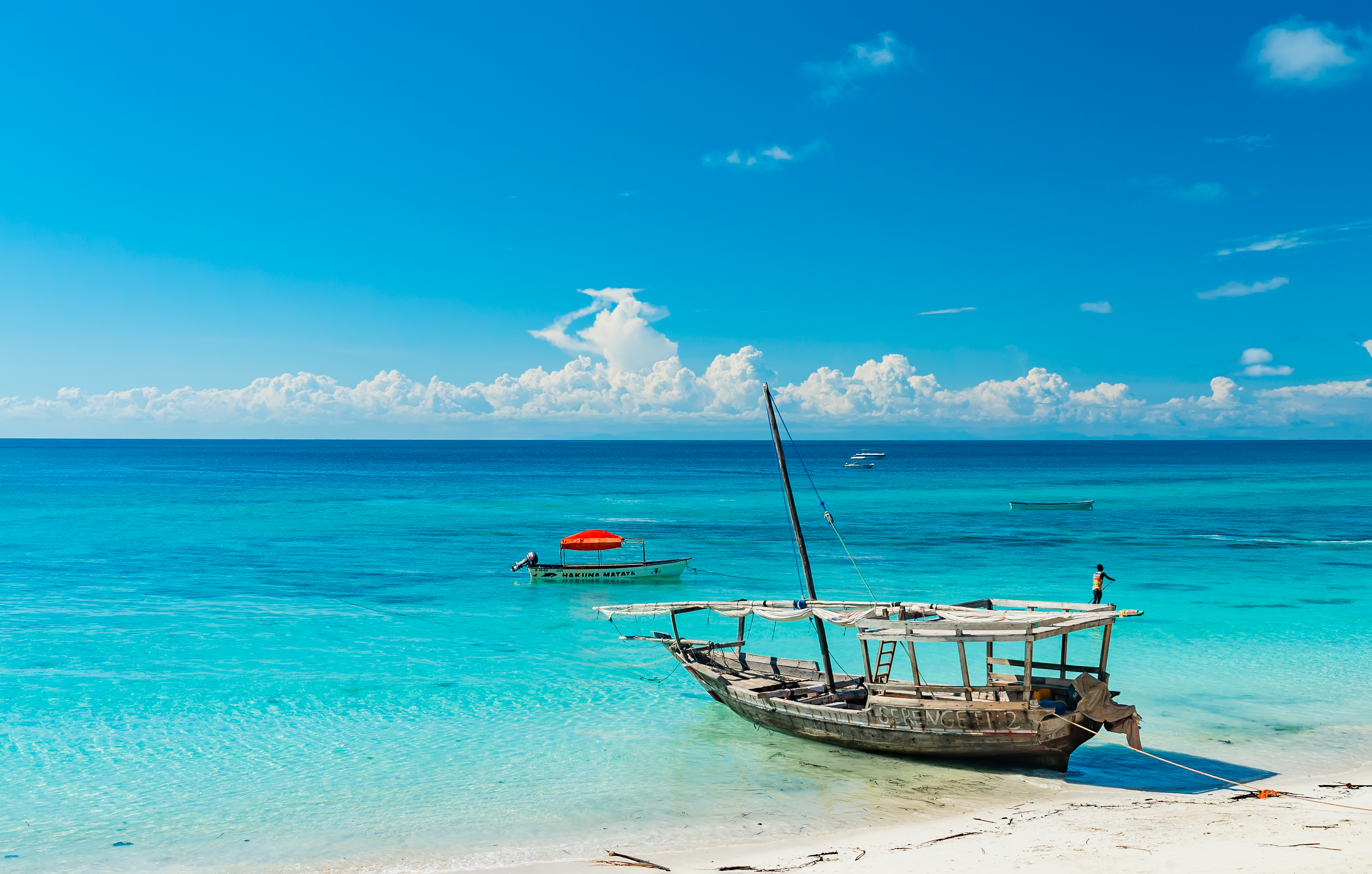Beach gateway - Zanzibar